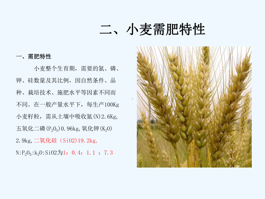 硅肥施用在小麦上的效果课件.ppt_第3页