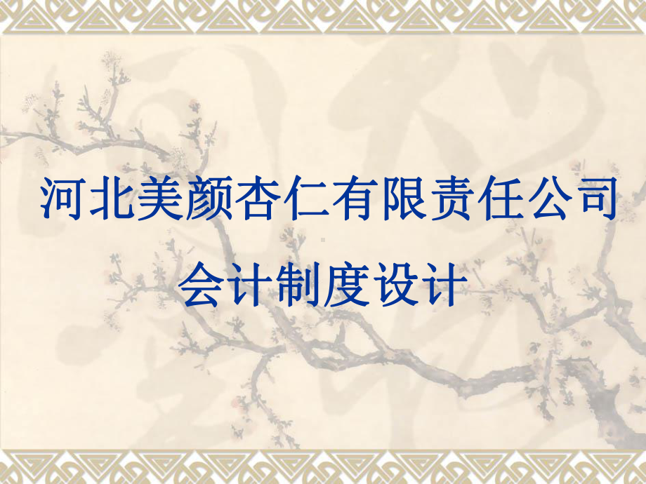 某公司会计制度设计案例(-)课件.ppt_第1页