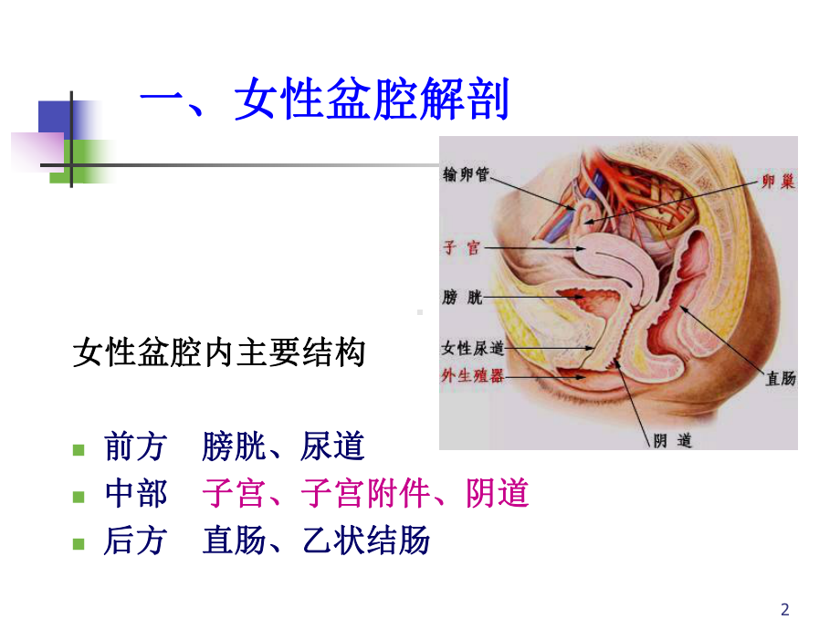 妇产科疾病超声诊断课件.ppt_第2页