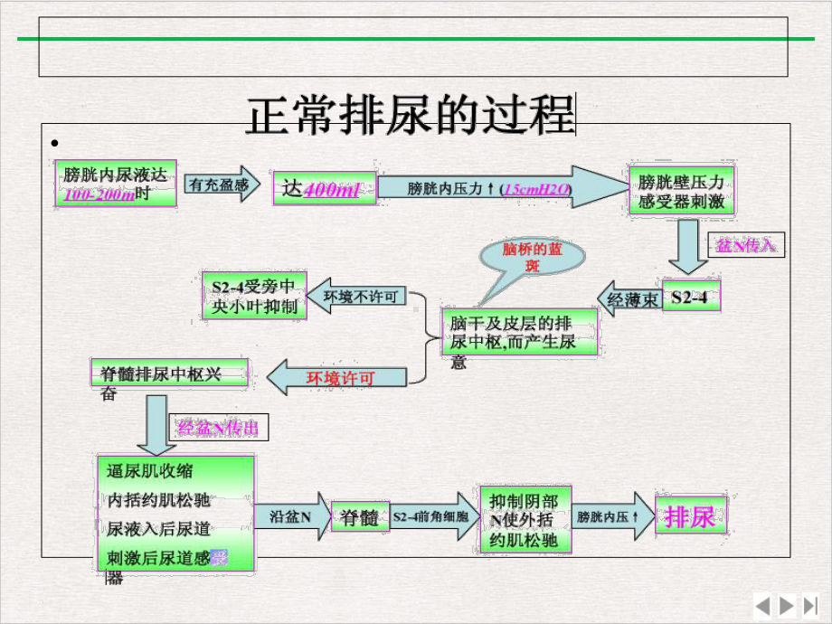 女性尿失禁的相关内容最新版课件.ppt_第3页