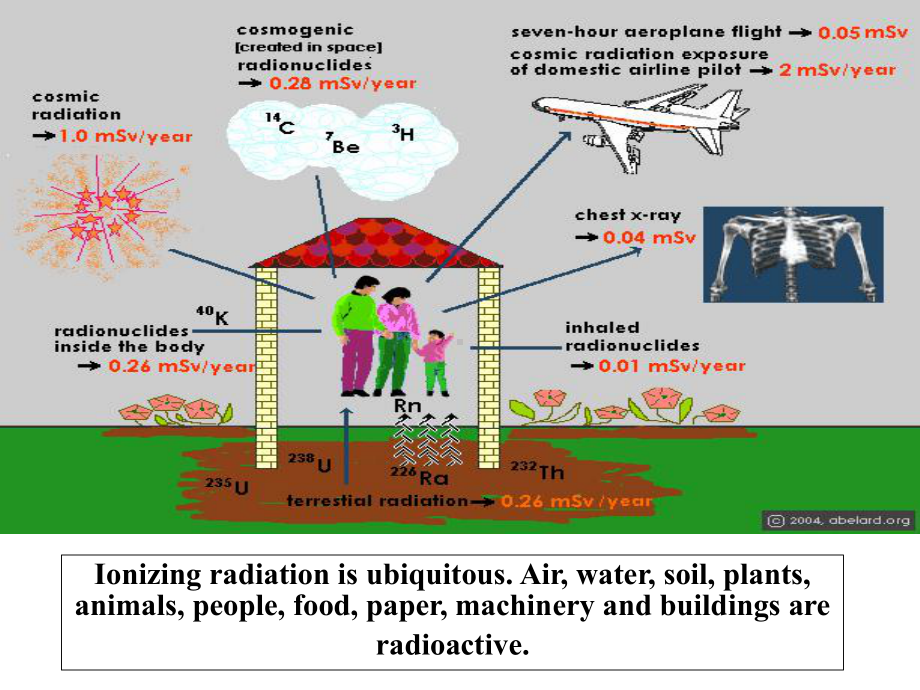 电离辐射生物学效应基础课件.ppt_第1页