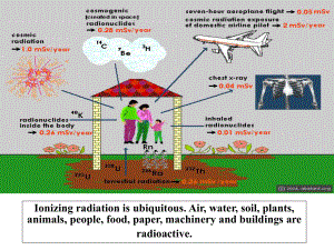 电离辐射生物学效应基础课件.ppt