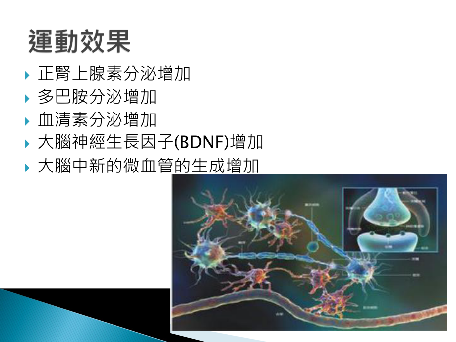 大脑守则1—运动增强脑力课件.ppt_第3页