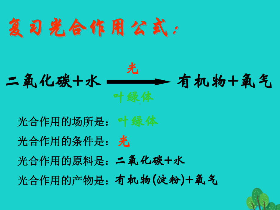 江苏省淮安市盱眙县第三中学七年级生物上册341植物的课件.ppt_第2页