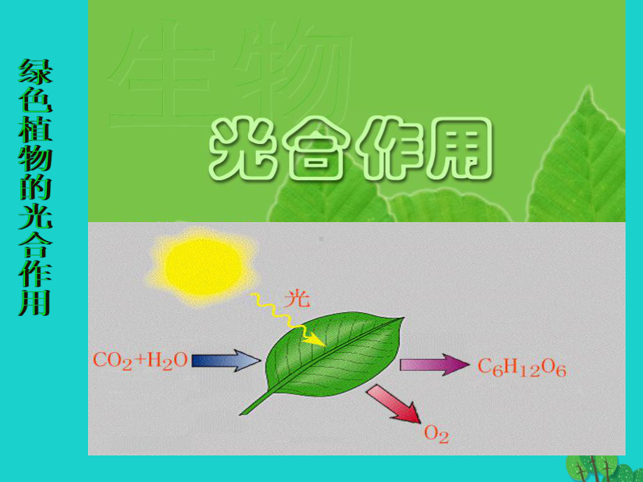 江苏省淮安市盱眙县第三中学七年级生物上册341植物的课件.ppt_第3页