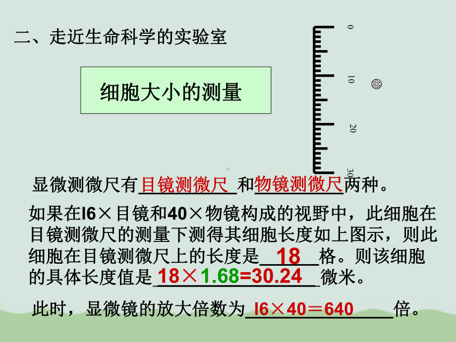 生命科学复习课件全解-沪教版.ppt_第3页