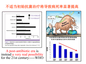 感染性疾病的实验诊断课件.pptx