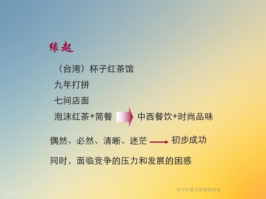 杯子红整合营销策划案课件.ppt_第2页