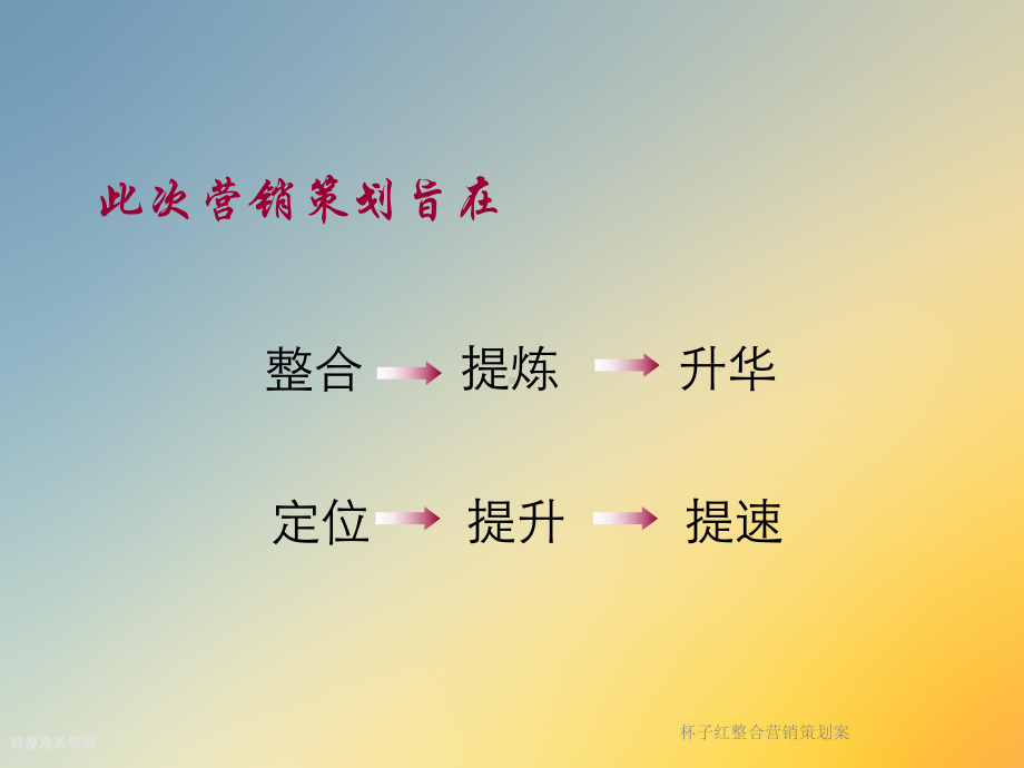 杯子红整合营销策划案课件.ppt_第3页