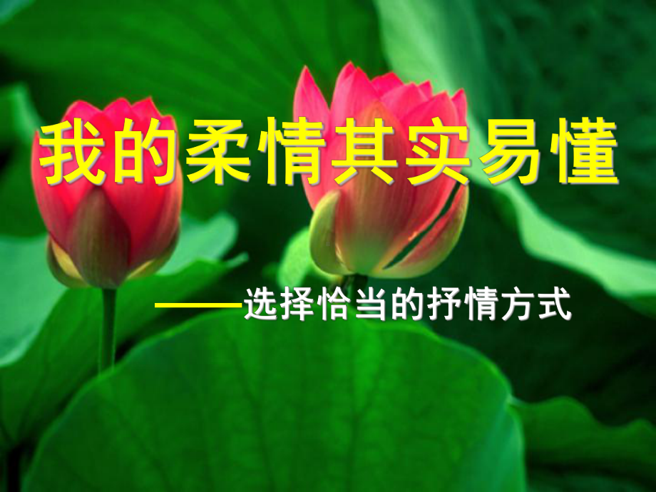 写作：学习抒情课件.ppt_第3页