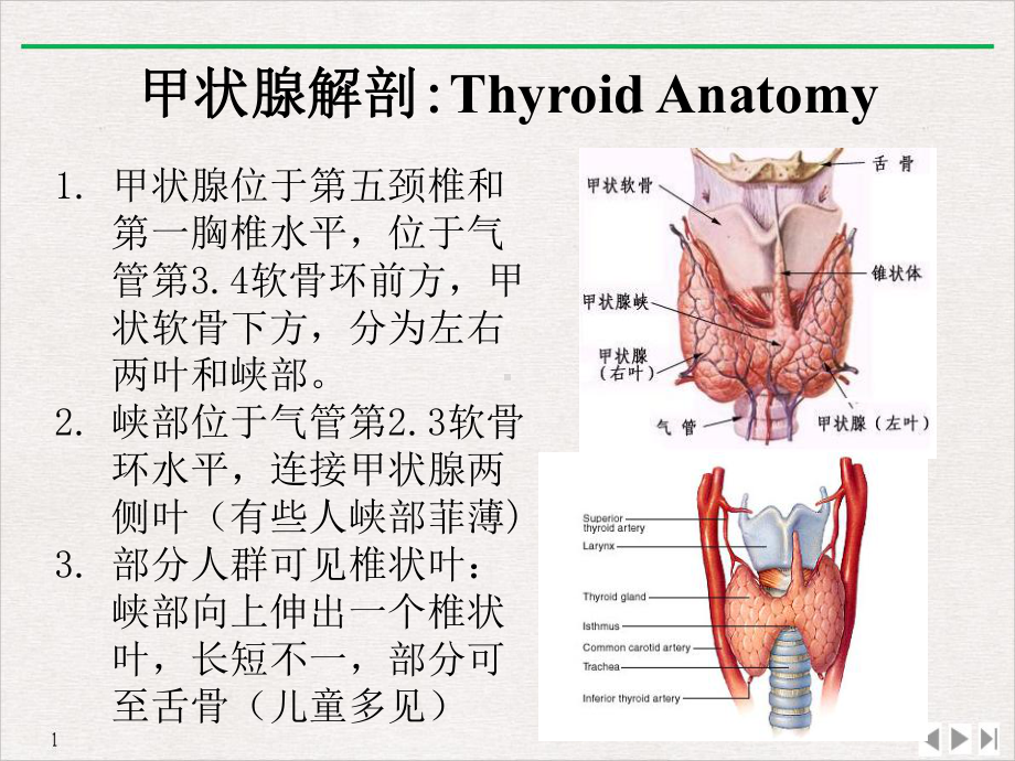 甲状腺结节的超声规范化诊断教学课件.pptx_第1页