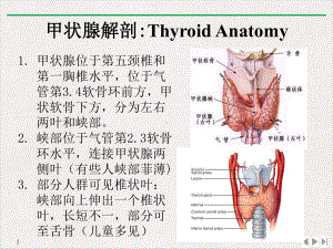 甲状腺结节的超声规范化诊断教学课件.pptx