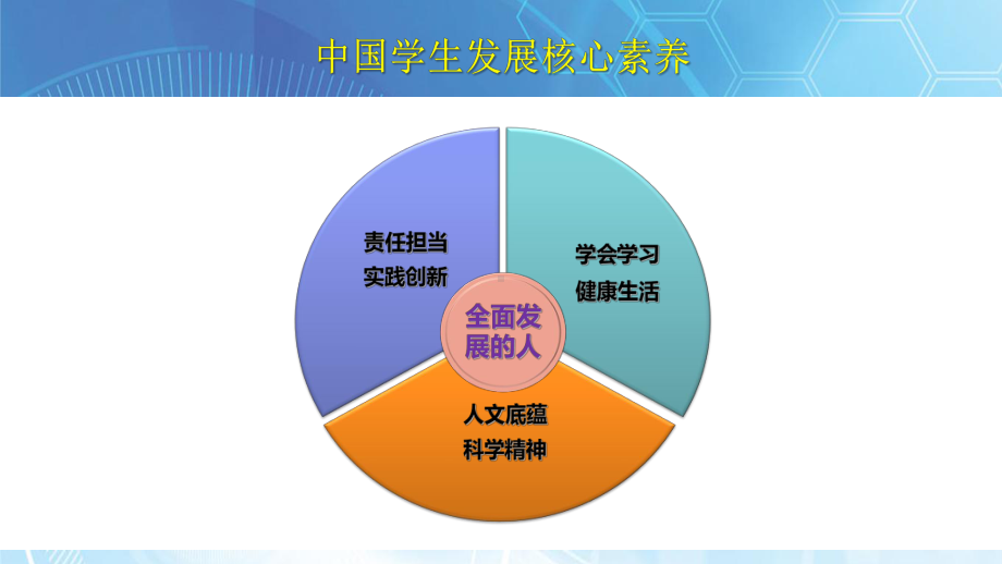 学生核心素养与综合素质评价课件.pptx_第2页