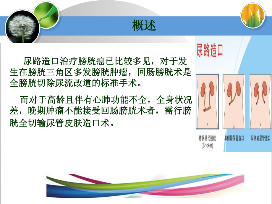 最新尿路造口周围并发症课件.ppt_第3页