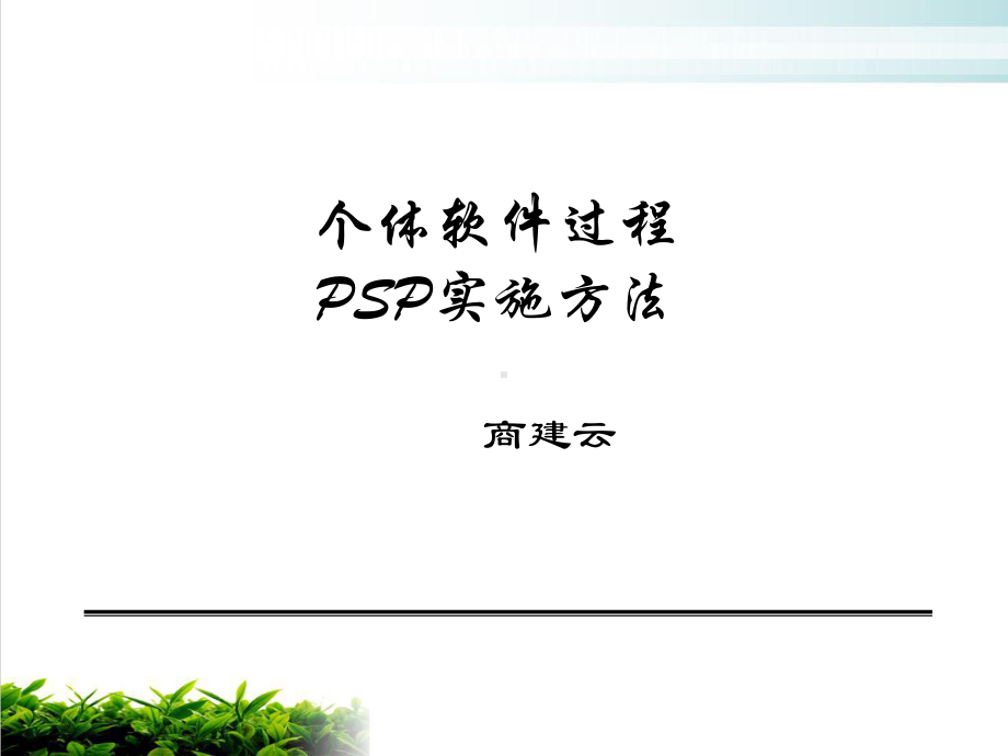 个体软件过程PSP实施方法研讨模版课件.ppt_第1页