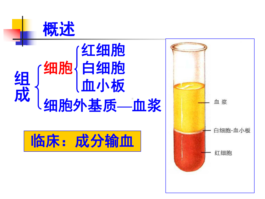 大学课程系统解剖学第4章血液课件.ppt_第3页