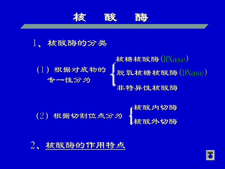 第八章核酸酶促降解及核苷酸代谢课件.ppt_第3页