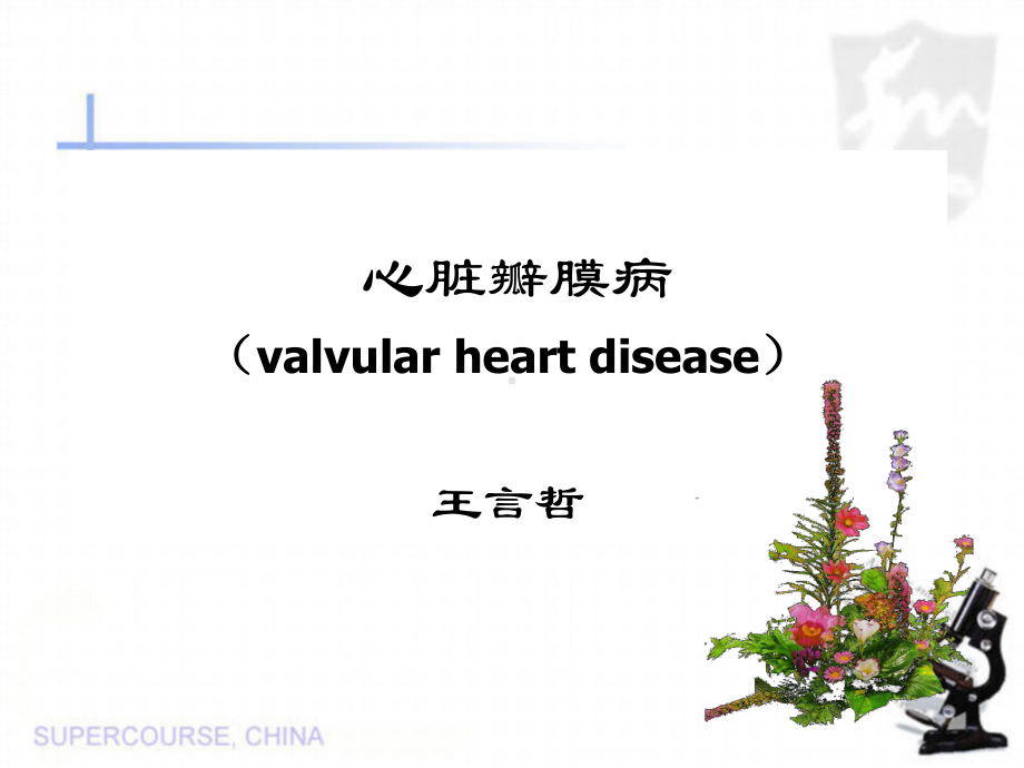 内科心脏瓣膜病(课件)精讲.ppt_第1页