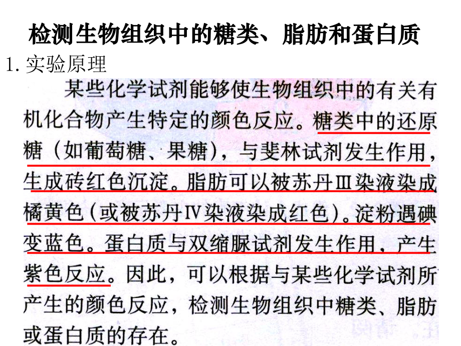检测生物组织中的糖类、蛋白质、脂肪课件.ppt_第2页
