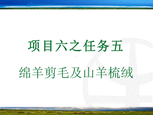 绵羊剪毛及山羊梳绒课件.pptx