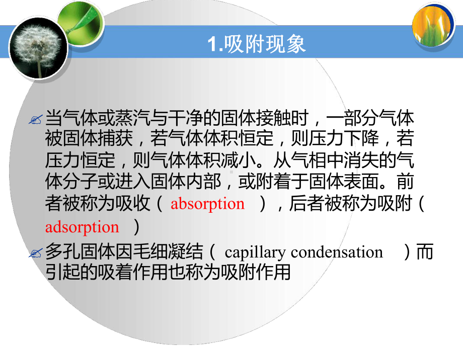 氮气吸附法等温吸附课件.ppt_第3页