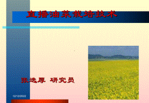 直播油菜栽培技术(课件).ppt