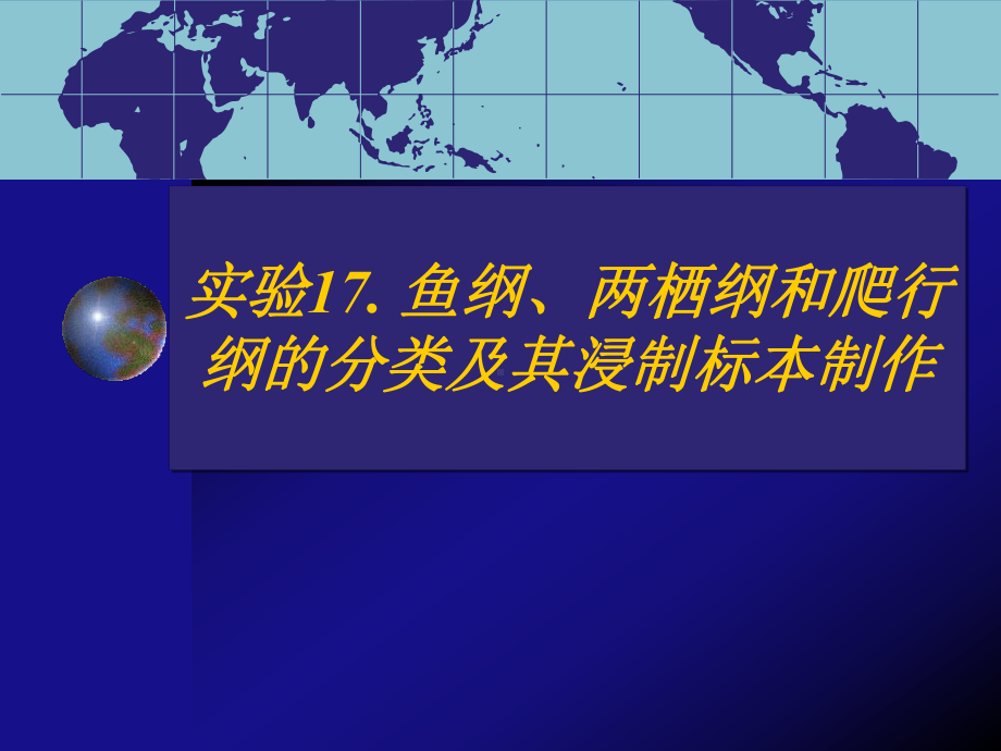 实验17-鱼纲、两栖纲和爬行纲的分类及其浸制标本制作资料课件.ppt_第1页