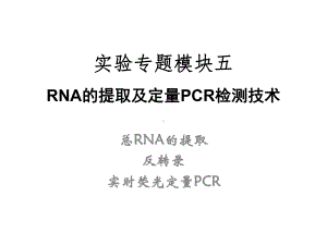 专题模块五RNA的提取及定量PCR检测技术课件.ppt