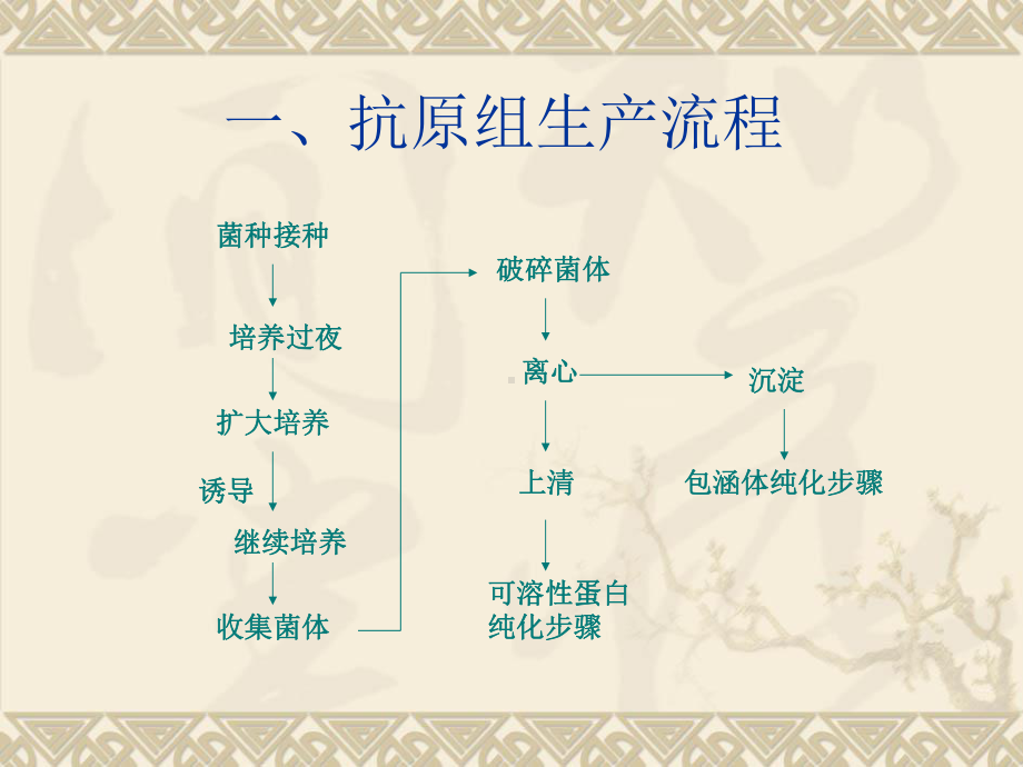 抗原的表达和纯化课件.ppt_第1页