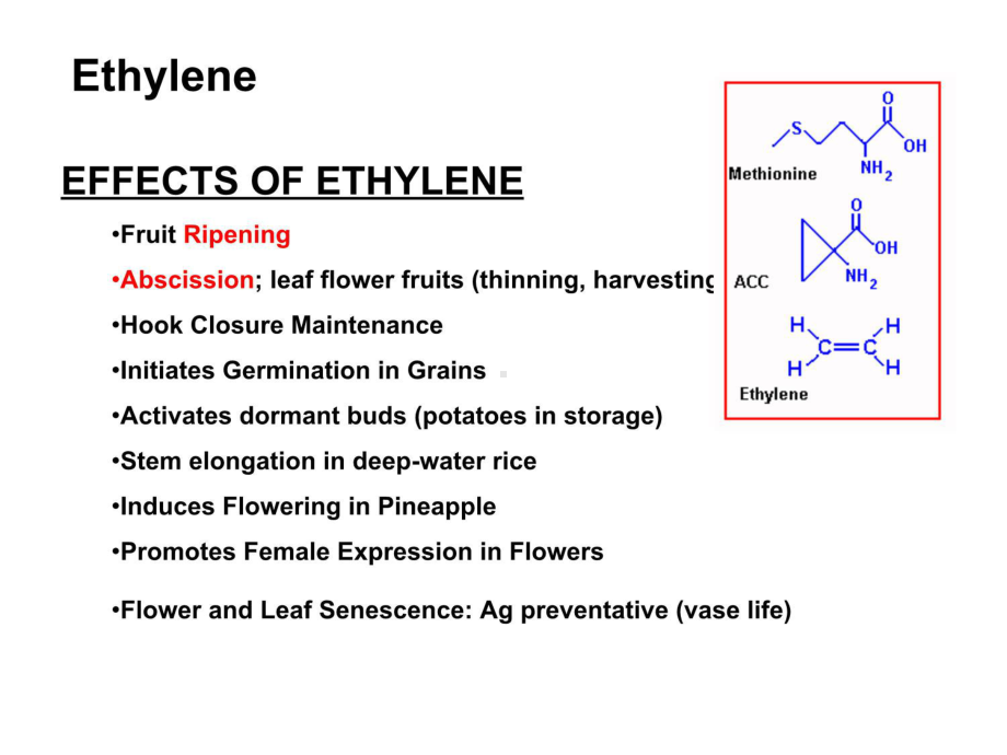 植物学及园艺学英文版botanyandhorticulture(28)课件.ppt_第3页