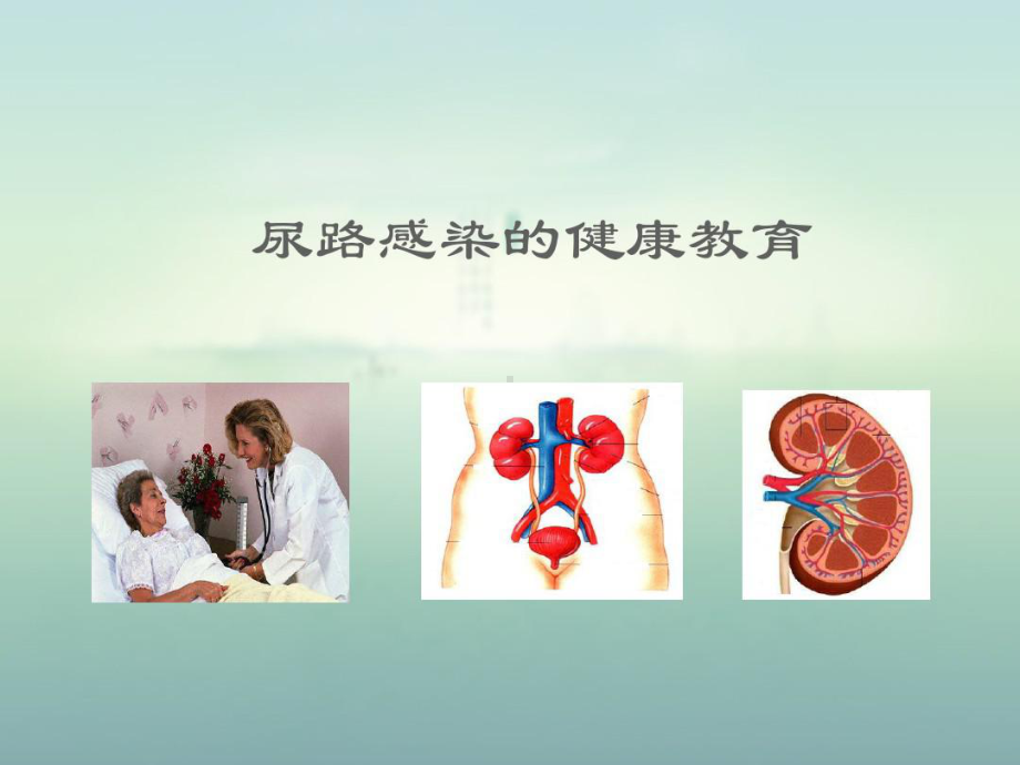 尿路感染患者健康教育课件.ppt_第1页