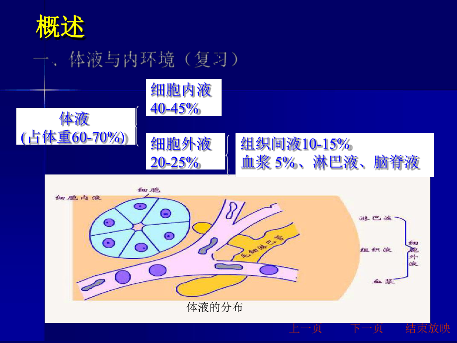 动物生理学血液课件.ppt_第2页