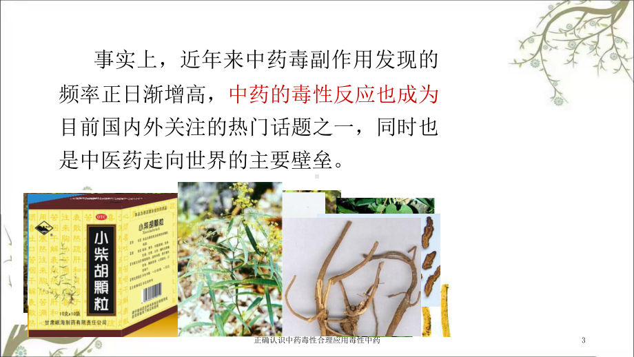 正确认识中药毒性合理应用毒性中药课件.ppt_第3页