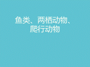 授课用鱼类、两栖动物、爬行动物资料课件.ppt