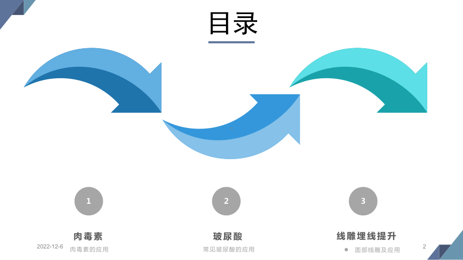 微整形全面注解参考课件.ppt_第2页