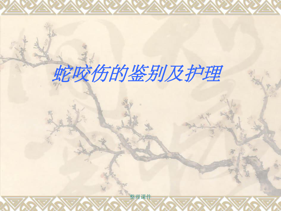 毒蛇咬伤护理课件.ppt_第1页