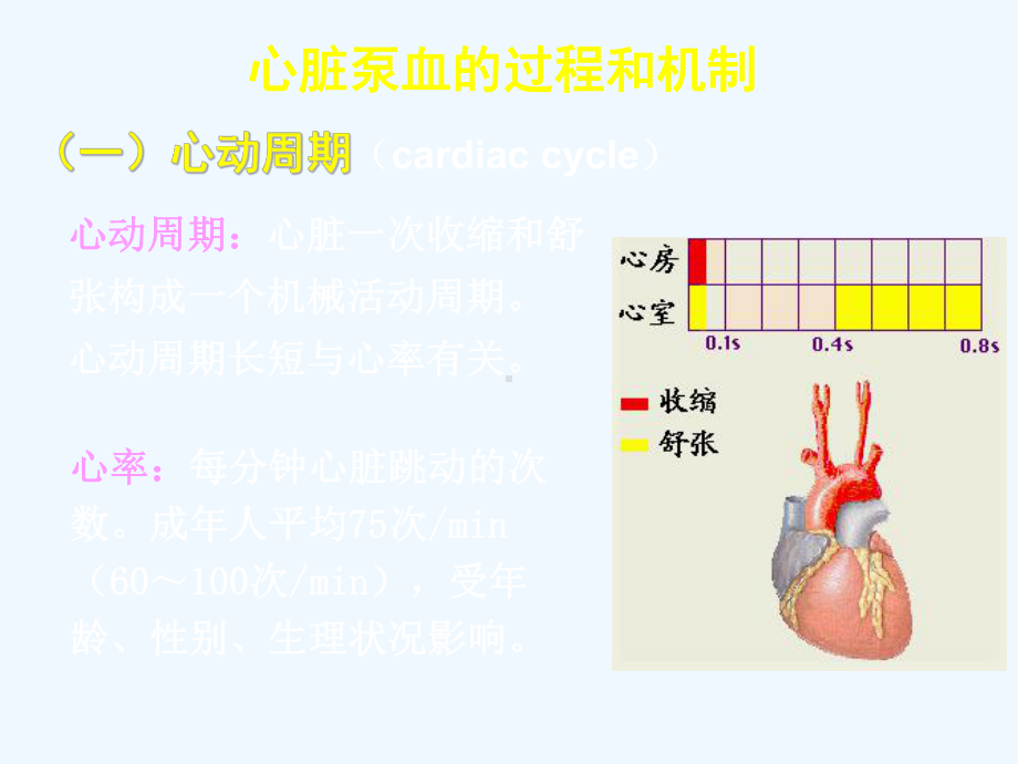 循环系统心泵血过程课件.ppt_第1页