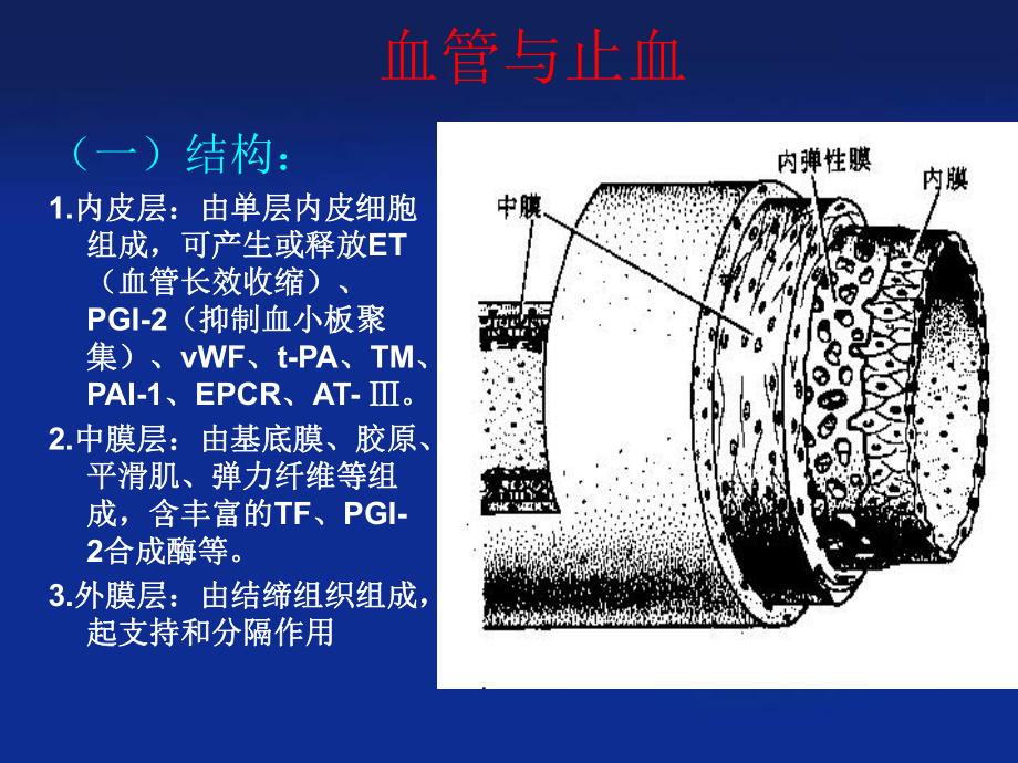 凝血酶-疾病学术中心课件.ppt_第2页