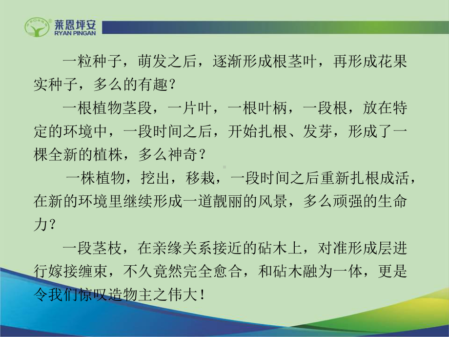 张伟兴-全能的形成层及其营养的“木桶效应”课件.ppt_第3页