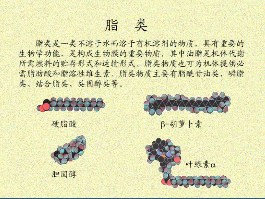 第二章-脂类化学课件.ppt_第2页