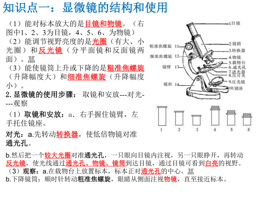 第一章细胞是生命活动的基本单位复习教材课件.ppt_第2页