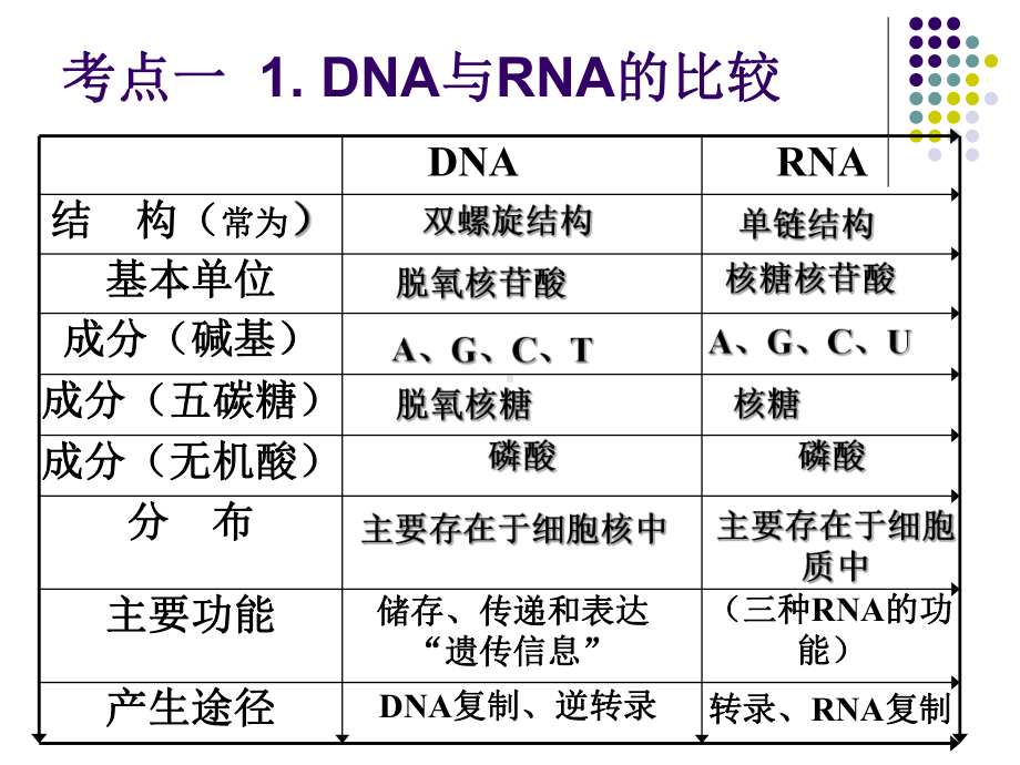 一轮复习课件-基因的表达.ppt_第3页