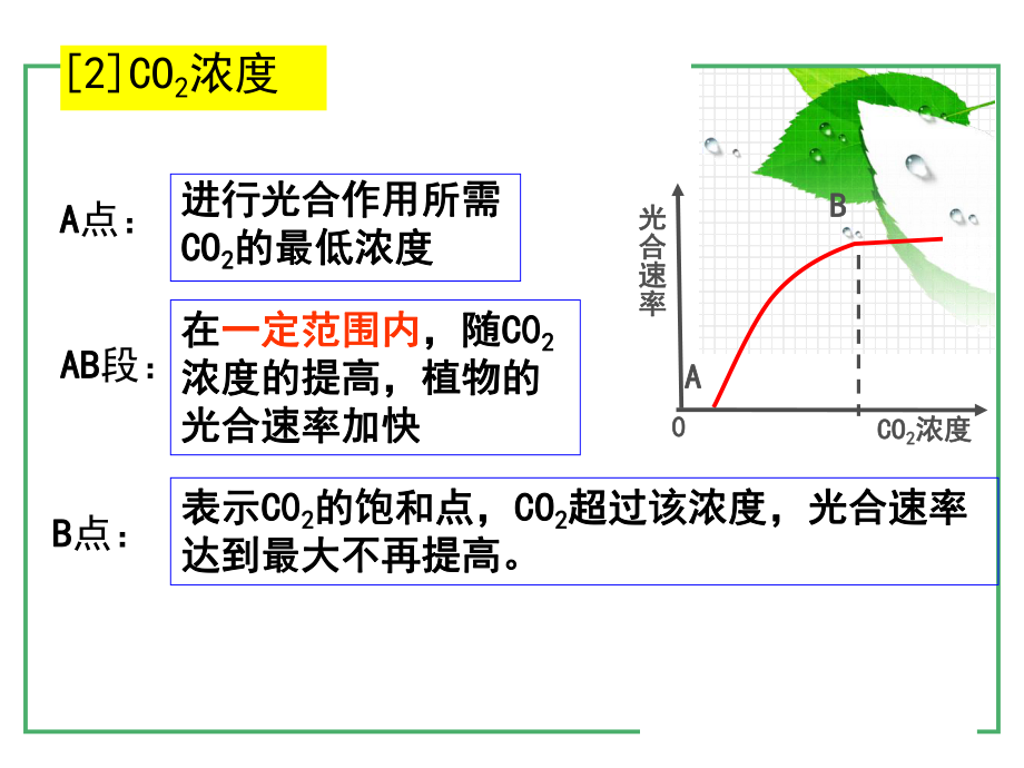 单因子变量对光合作用的影响课件.ppt_第2页