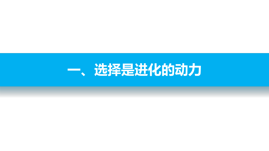 浙科版必修二-52进化性变化是怎样发生的(I)-课件.pptx_第3页