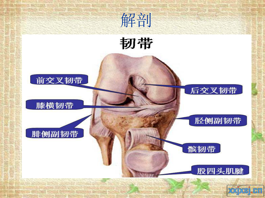 最新膝关节镜护理查房课件.ppt_第3页