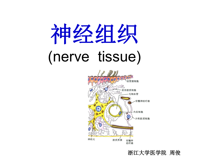 目的要求-课件.ppt_第1页