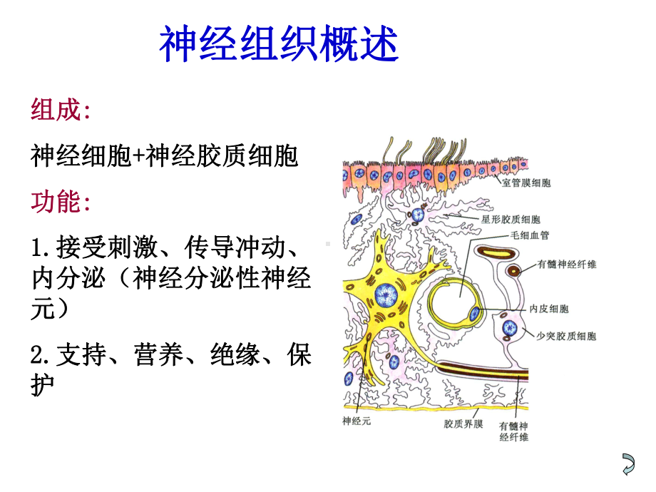 目的要求-课件.ppt_第3页