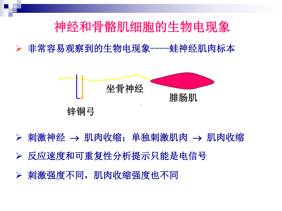 第四章-细胞的生物电现象课件.ppt_第2页