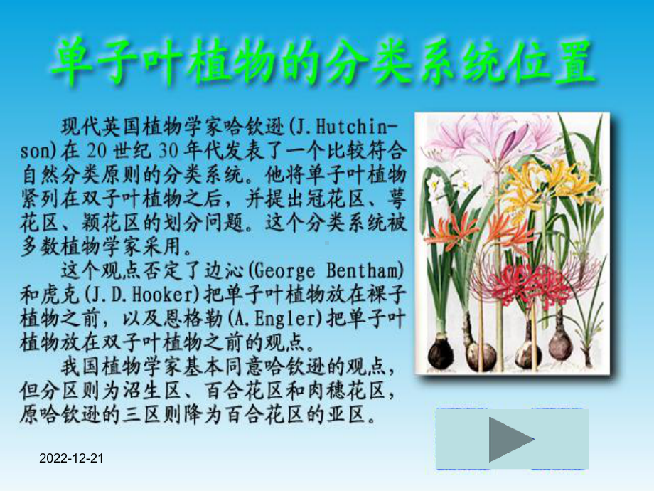 单子叶植物纲课件.ppt_第3页