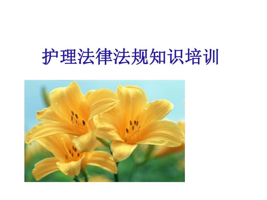 护士法律法规培训课件(同名18).ppt_第2页